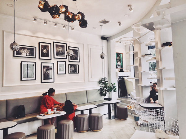 Stylishly Curated Travel Itineraries For Explorers