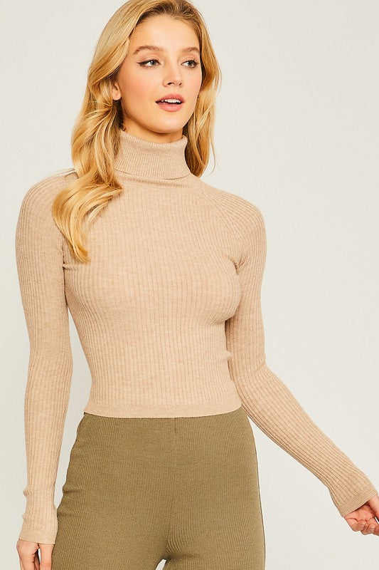 Turtleneck Ribbed Knit Sweater Top HOUSE OF SHE