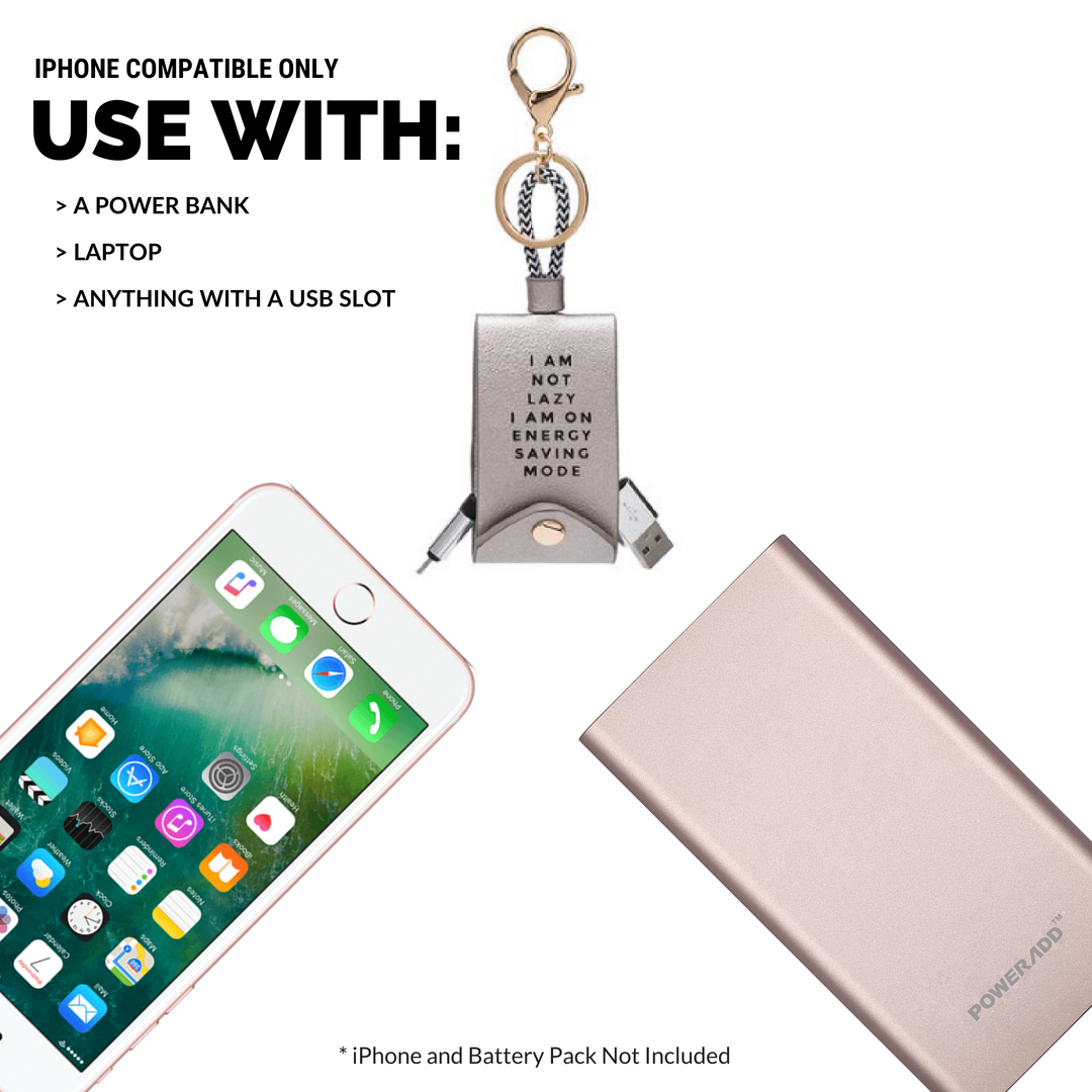 Pewter USB & iPhone Charger Accessory HOUSE OF SHE