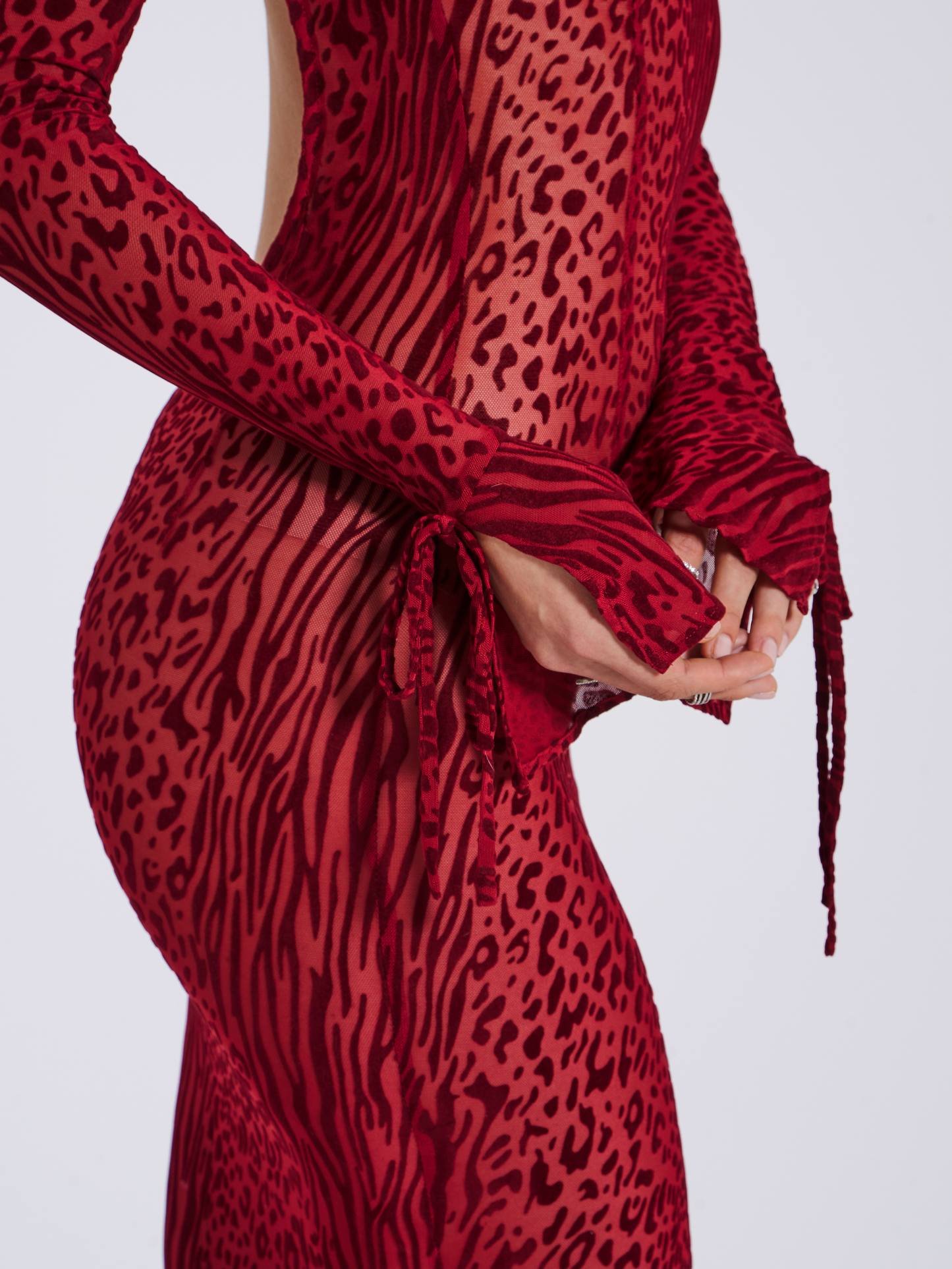 Dolma Red Velvet Detail Mesh Maxi Dress - HOUSE OF SHE