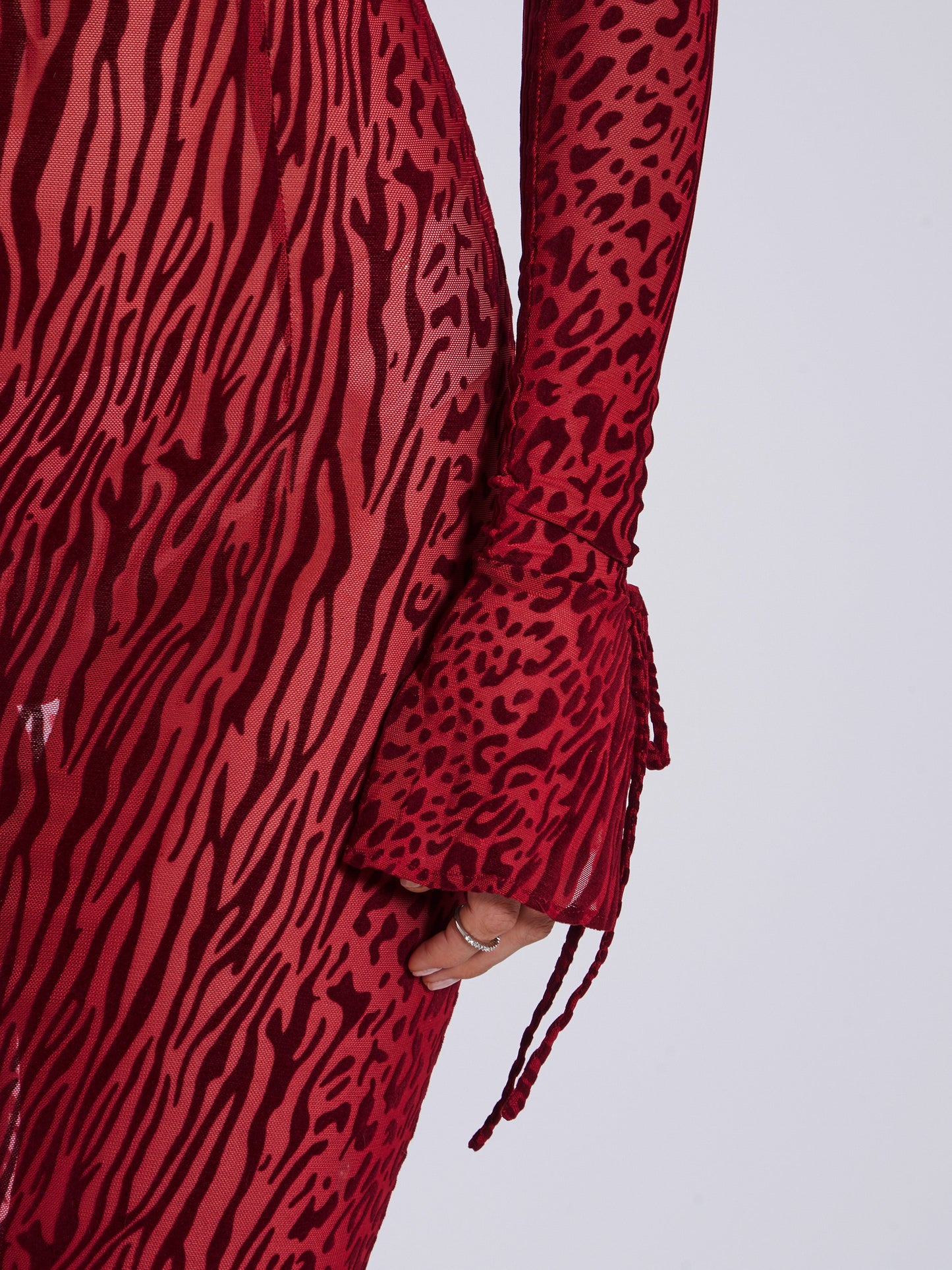 Dolma Red Velvet Detail Mesh Maxi Dress - HOUSE OF SHE