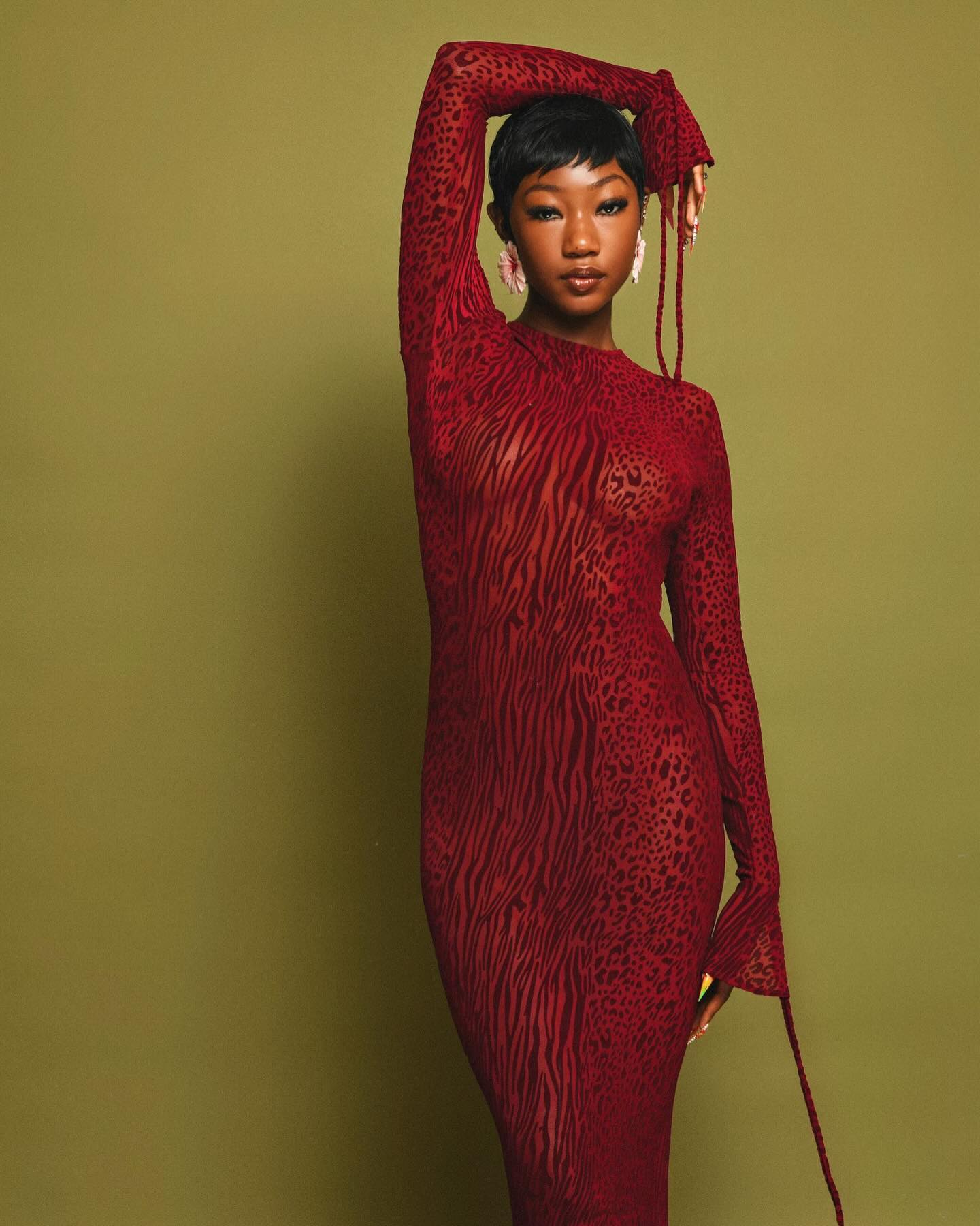 Dolma Red Velvet Detail Mesh Maxi Dress - HOUSE OF SHE