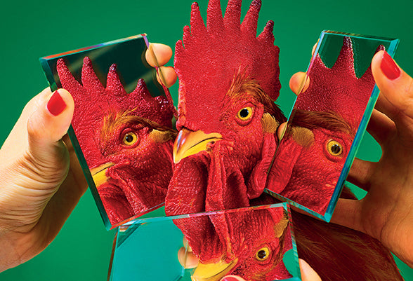 Toilet Paper: Issue 19 - HOUSE OF SHE