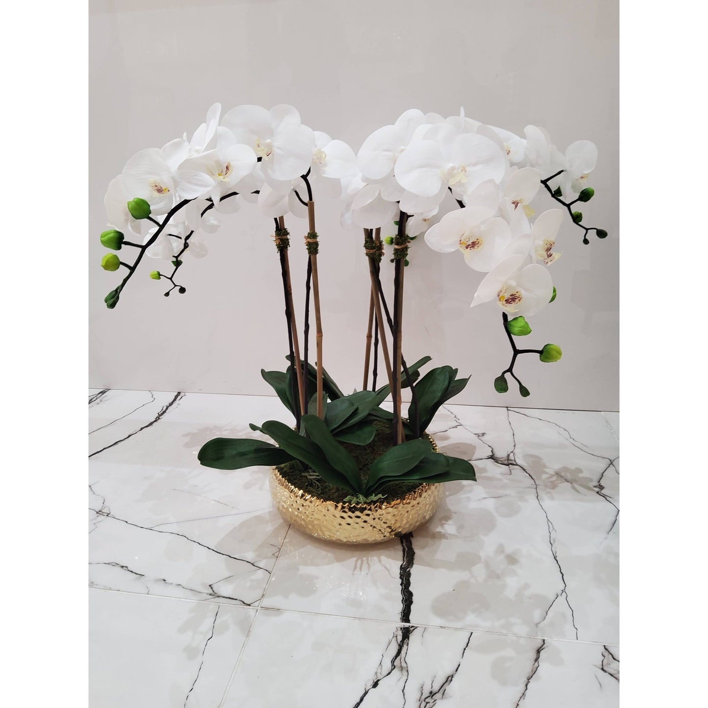 5 Branched White Orchid Plant in Shallow Gold Pot - HOUSE OF SHE