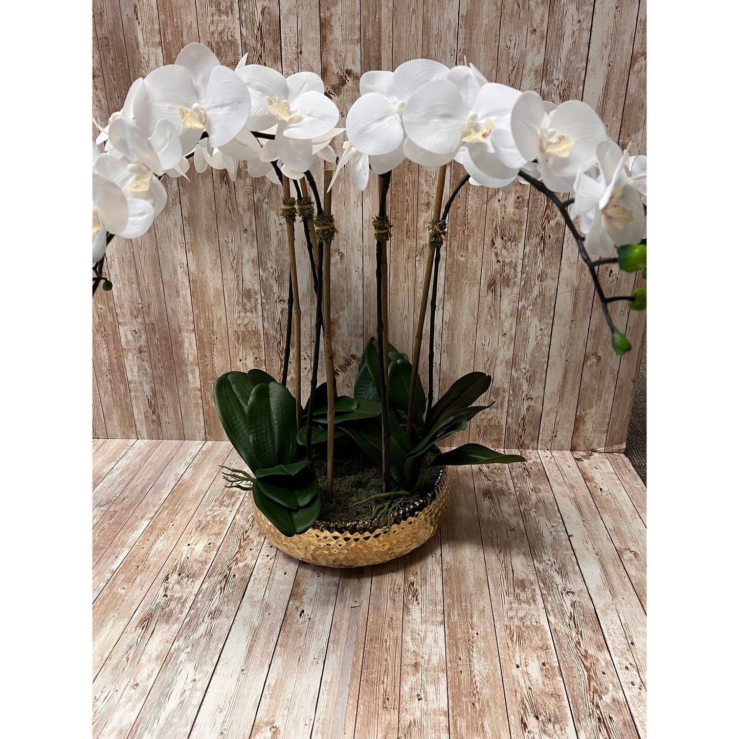 5 Branched White Orchid Plant in Shallow Gold Pot - HOUSE OF SHE