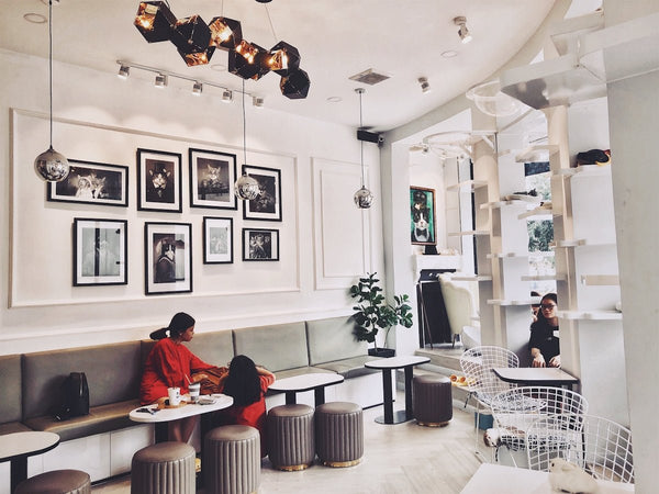 Stylishly Curated Travel Itineraries For Explorers