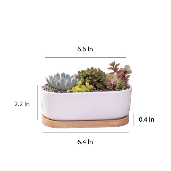 Succulent Planter -Elongated - HOUSE OF SHE