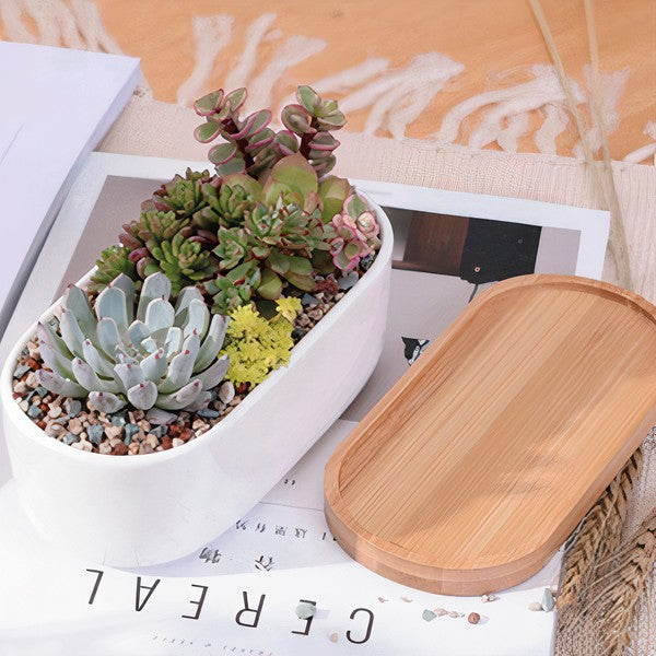 Succulent Planter -Elongated - HOUSE OF SHE