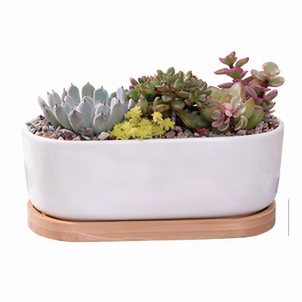 Succulent Planter -Elongated - HOUSE OF SHE