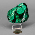 Malachite Crystal Freeform for Transformation & Heart