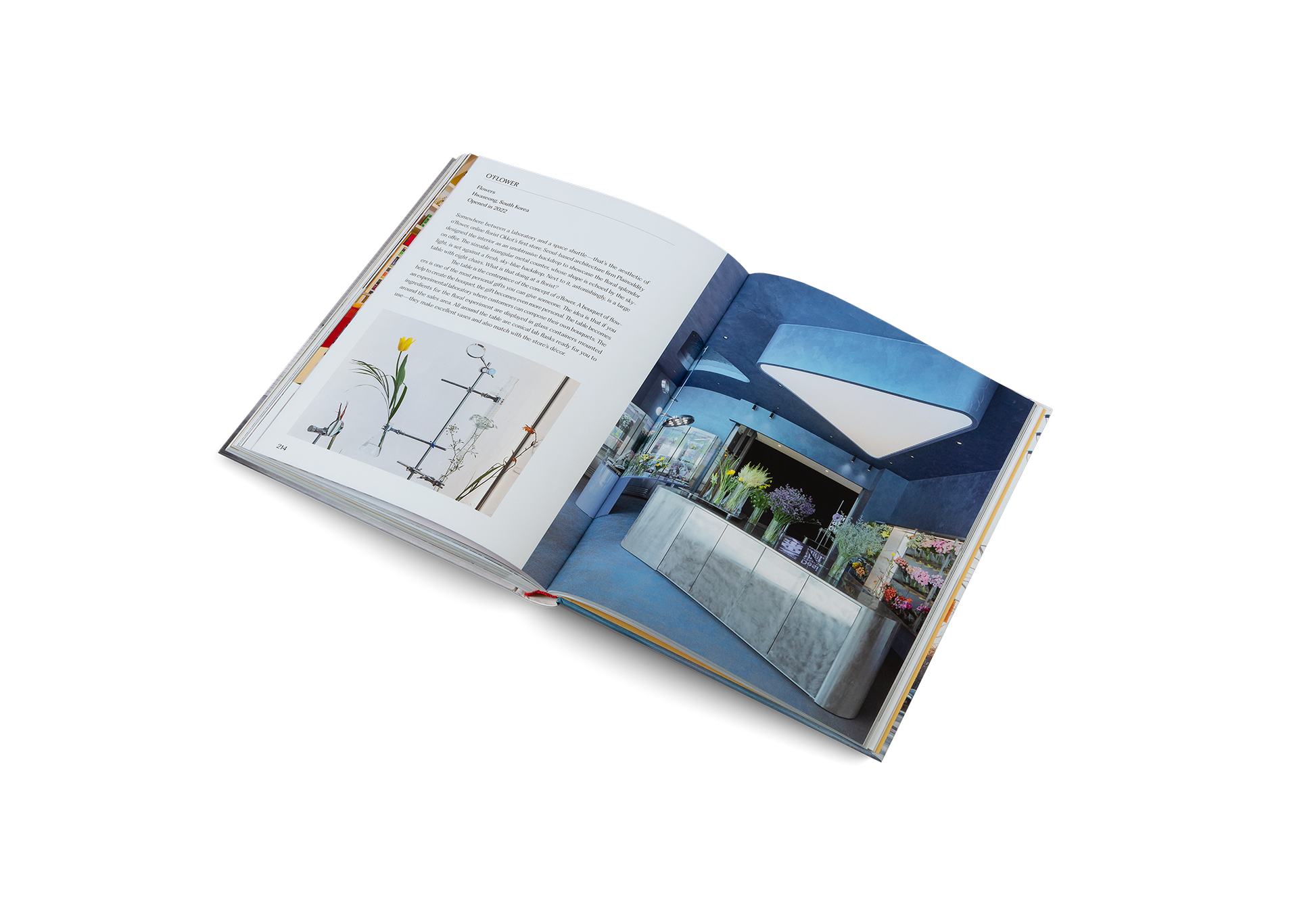 Think Big—Shop Small