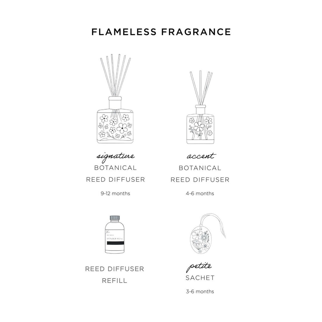 Accent Botanical Reed Diffuser - Apricot Rose - HOUSE OF SHE