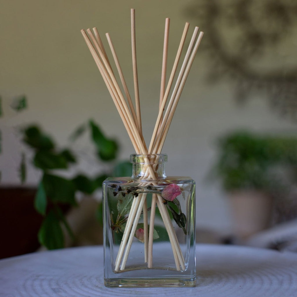 Accent Botanical Reed Diffuser - Apricot Rose - HOUSE OF SHE