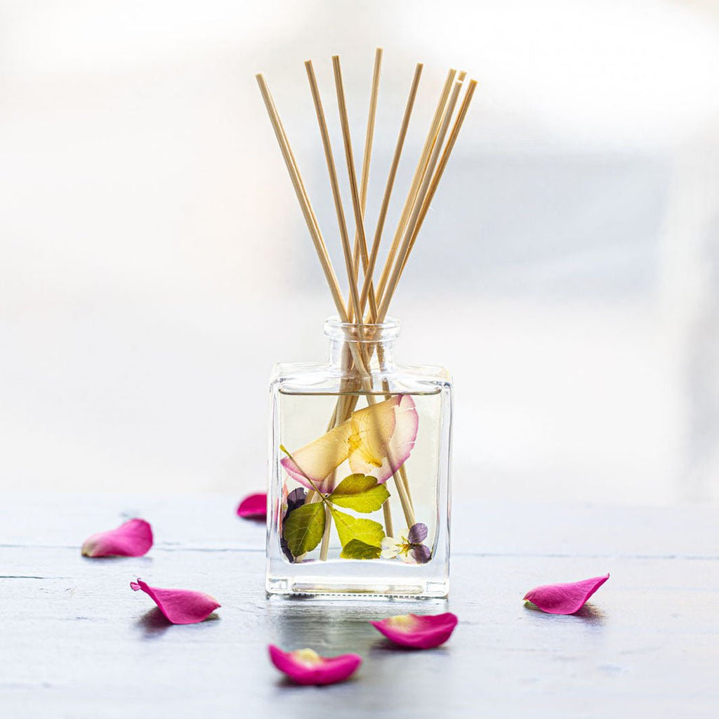 Accent Botanical Reed Diffuser - Blushing Rosewood - HOUSE OF SHE