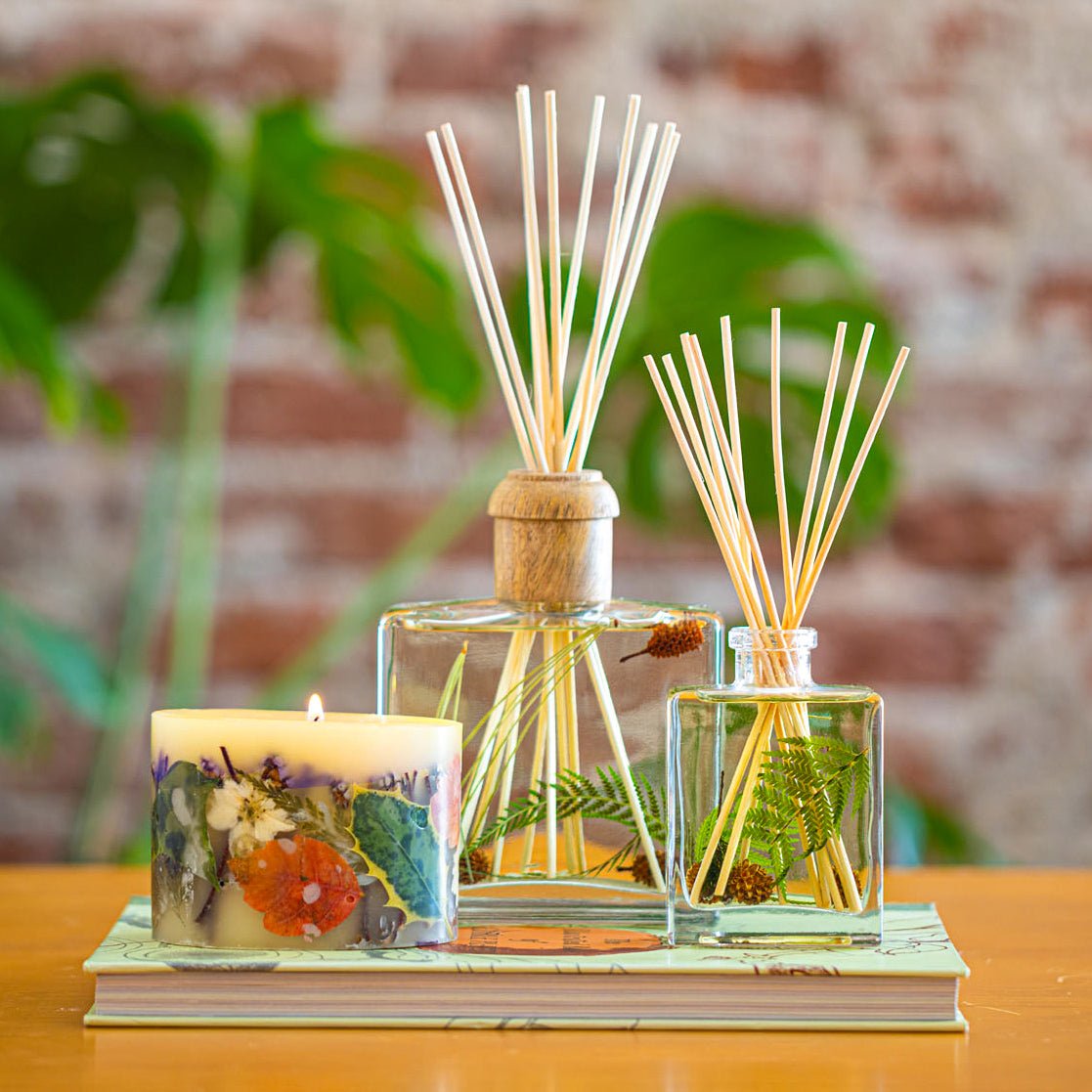 Accent Botanical Reed Diffuser - Forest - HOUSE OF SHE