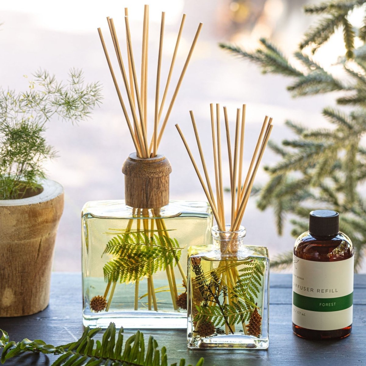 Accent Botanical Reed Diffuser - Forest - HOUSE OF SHE