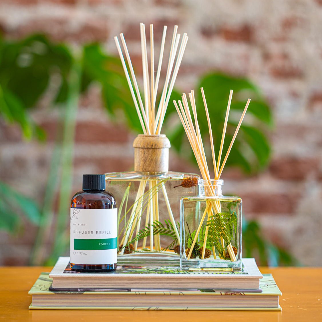 Accent Botanical Reed Diffuser - Forest - HOUSE OF SHE