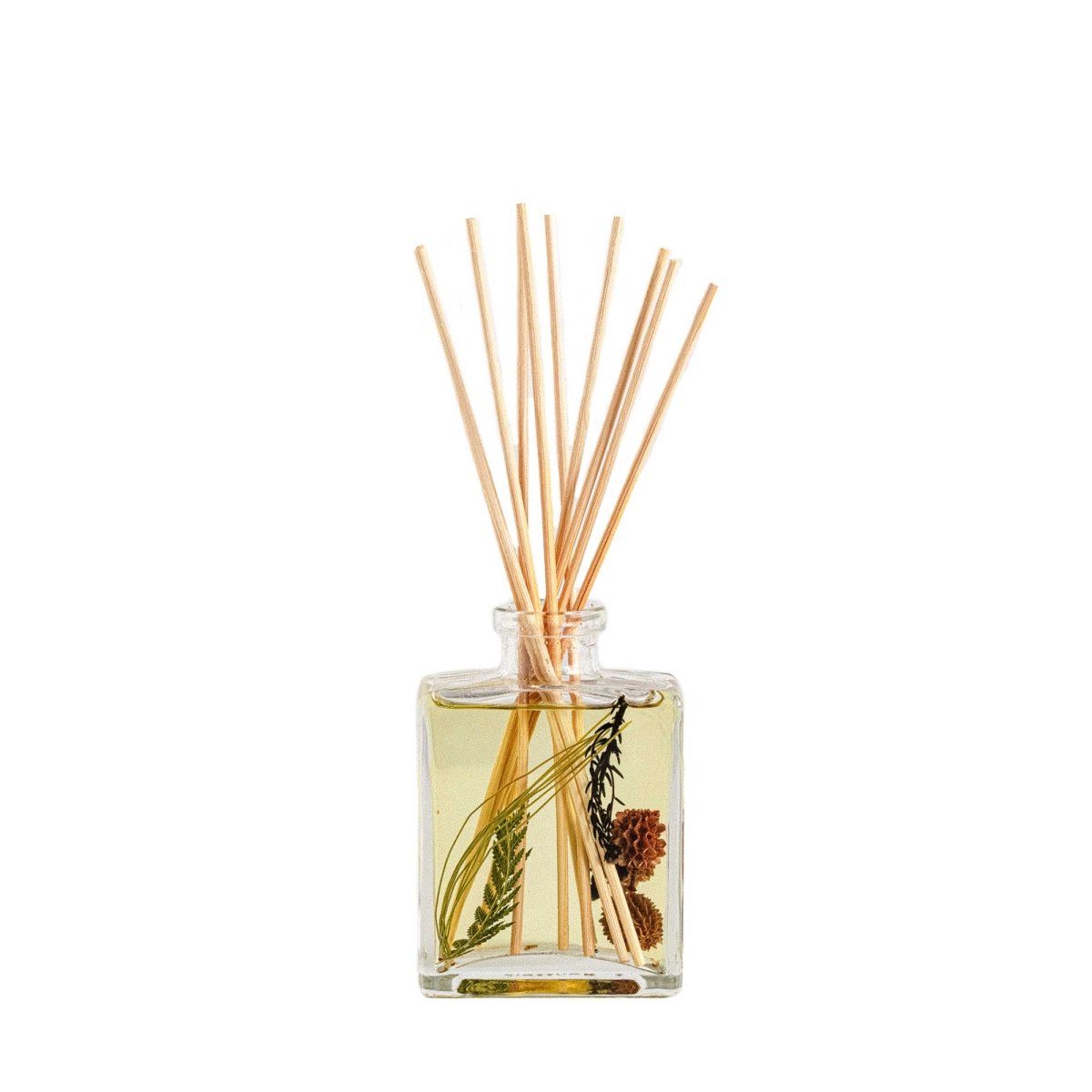 Accent Botanical Reed Diffuser - Forest - HOUSE OF SHE