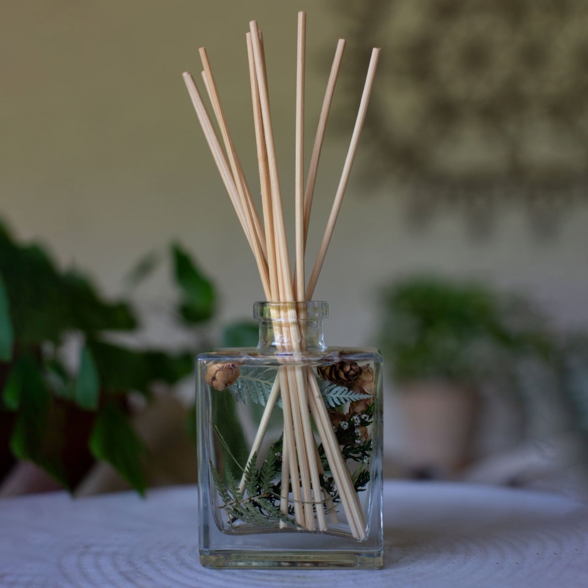 Accent Botanical Reed Diffuser - Forest - HOUSE OF SHE