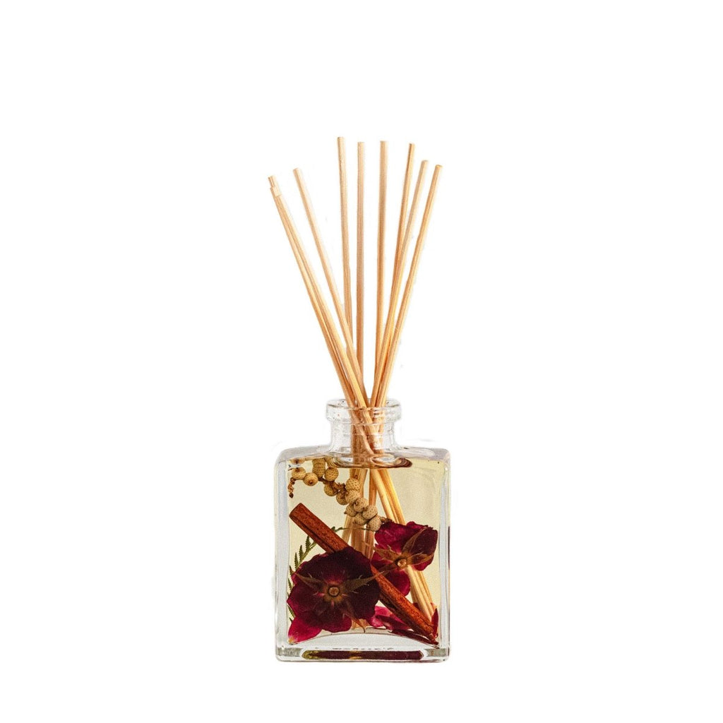 Accent Botanical Reed Diffuser - Spicy Apple - HOUSE OF SHE
