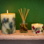 Accent Botanical Reed Diffuser - Spicy Apple - HOUSE OF SHE
