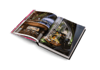 Andrew Martin Interior Design Review Vol. 29 - HOUSE OF SHE