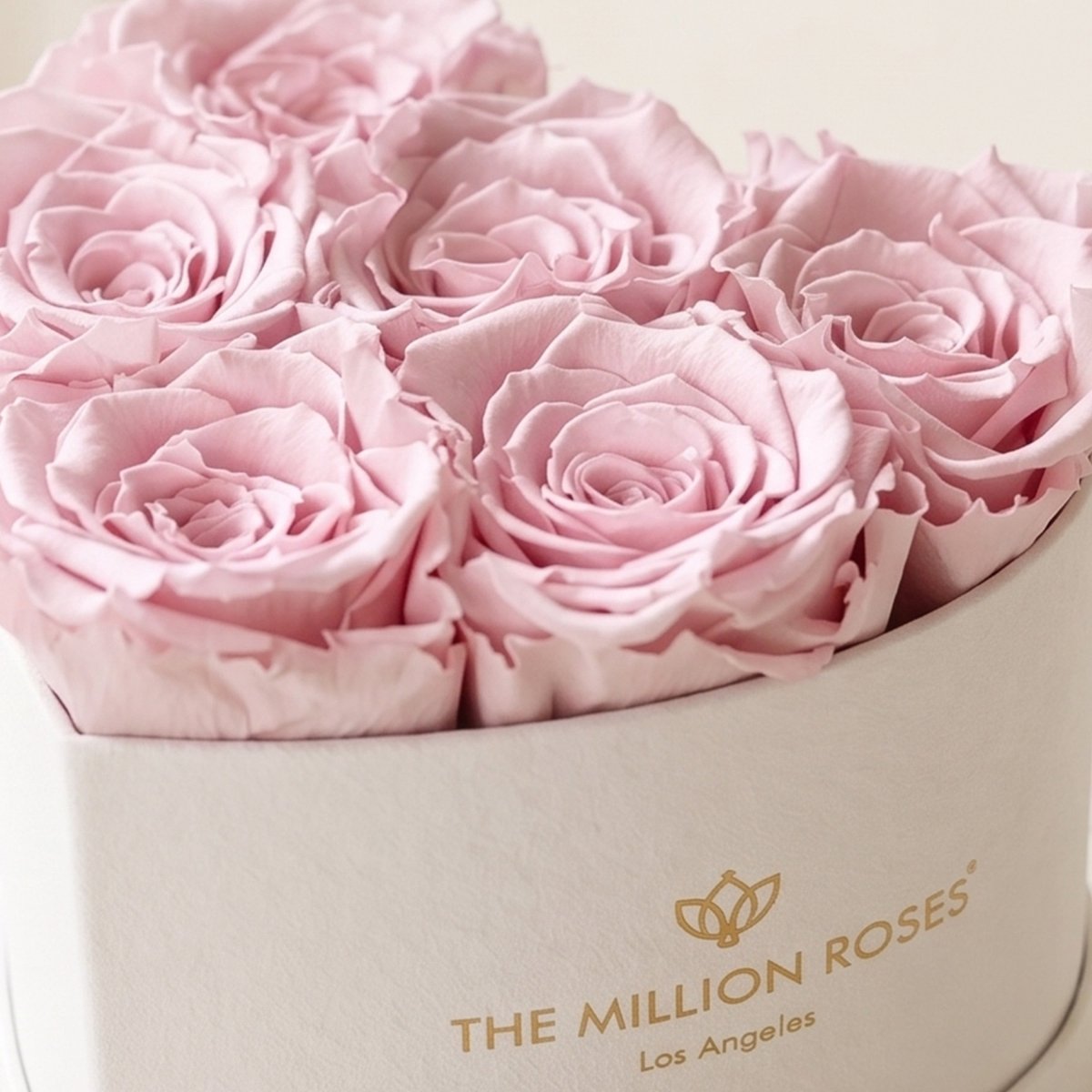 Baby Heart Beige Box | Light Pink Roses - HOUSE OF SHE