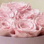 Baby Heart Light Pink Box | Light Pink Roses - HOUSE OF SHE