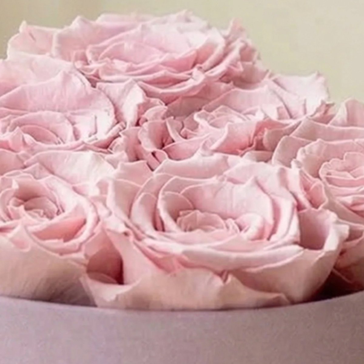 Baby Heart Light Pink Box | Light Pink Roses - HOUSE OF SHE