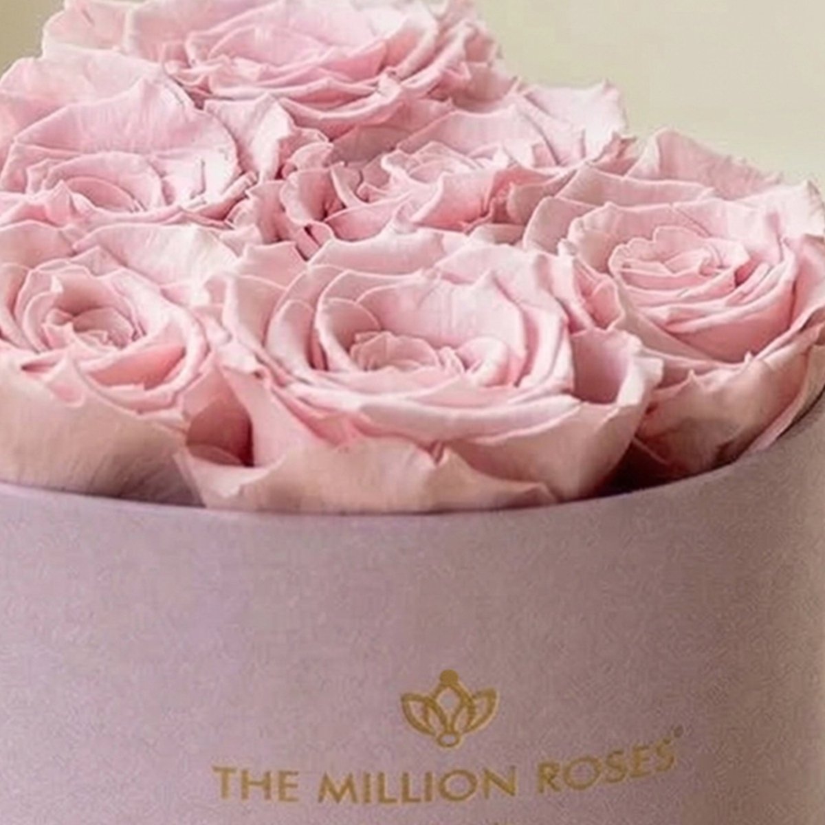Baby Heart Light Pink Box | Light Pink Roses - HOUSE OF SHE