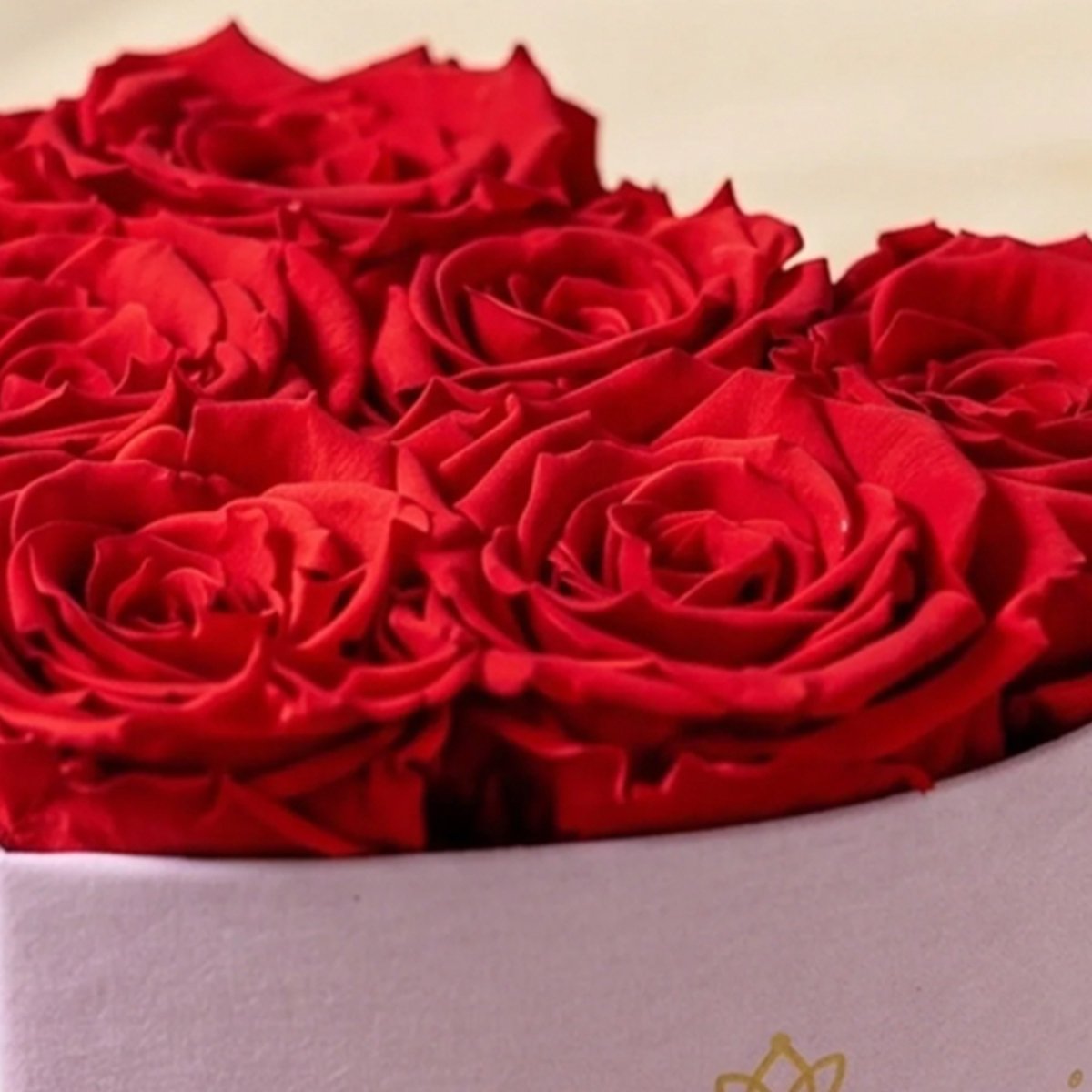 Baby Heart Light Pink Box | Red Roses - HOUSE OF SHE