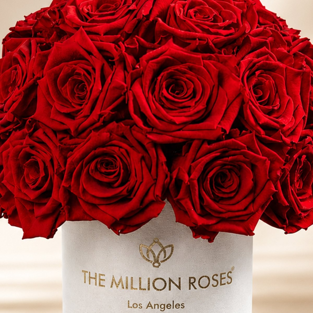 Basic Beige Suede Superdome Box | Red Roses - HOUSE OF SHE