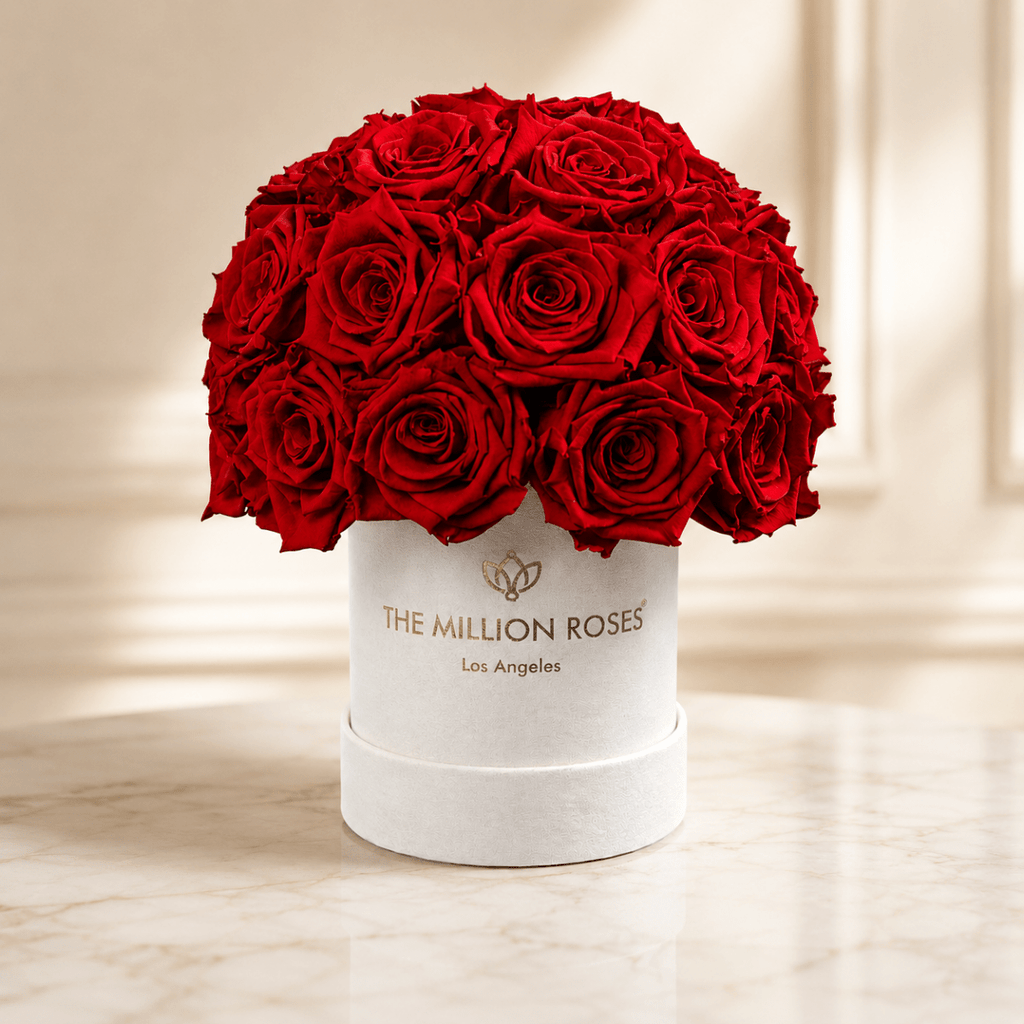 Basic Beige Suede Superdome Box | Red Roses - HOUSE OF SHE