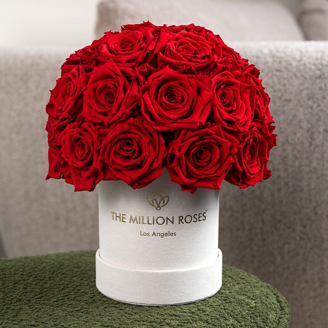 Basic Beige Suede Superdome Box | Red Roses - HOUSE OF SHE