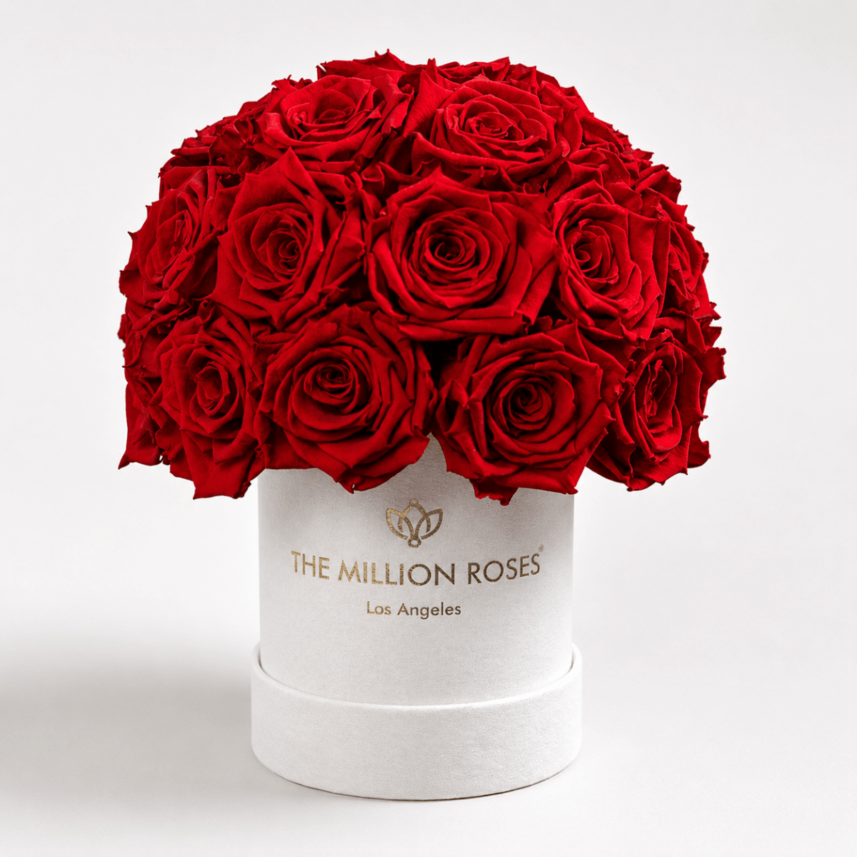 Basic Beige Suede Superdome Box | Red Roses - HOUSE OF SHE