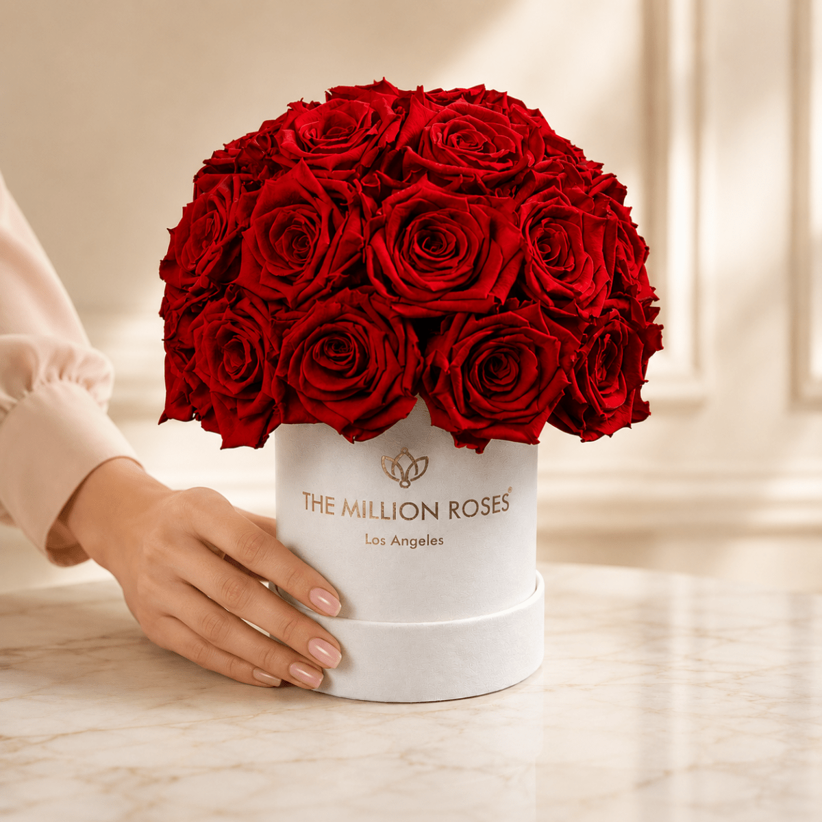 Basic Beige Suede Superdome Box | Red Roses - HOUSE OF SHE