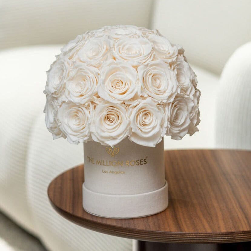 Basic Beige Suede Superdome Box | White Roses - HOUSE OF SHE