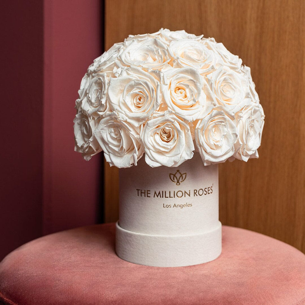 Basic Beige Suede Superdome Box | White Roses - HOUSE OF SHE