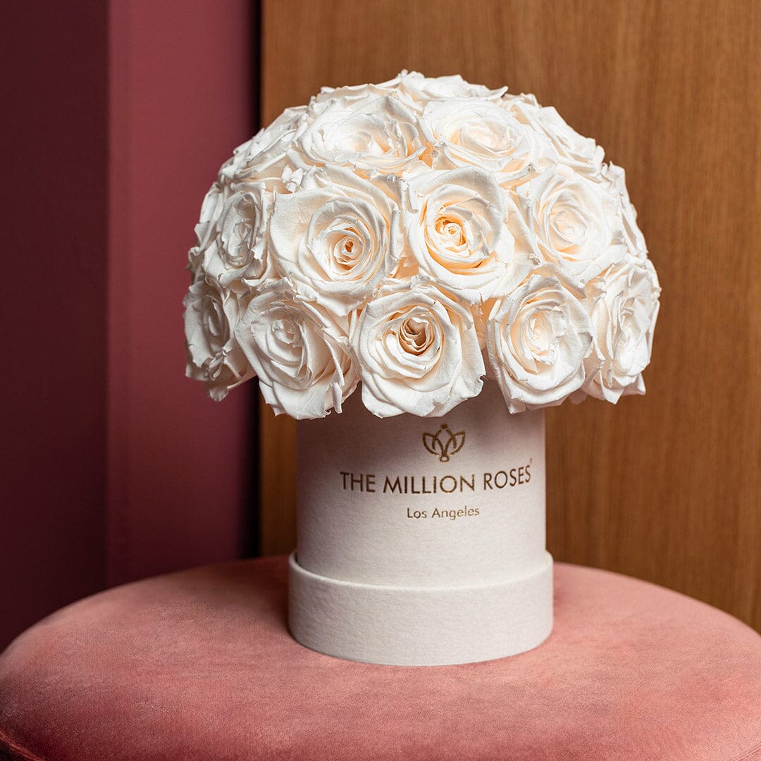 Basic Beige Suede Superdome Box | White Roses - HOUSE OF SHE