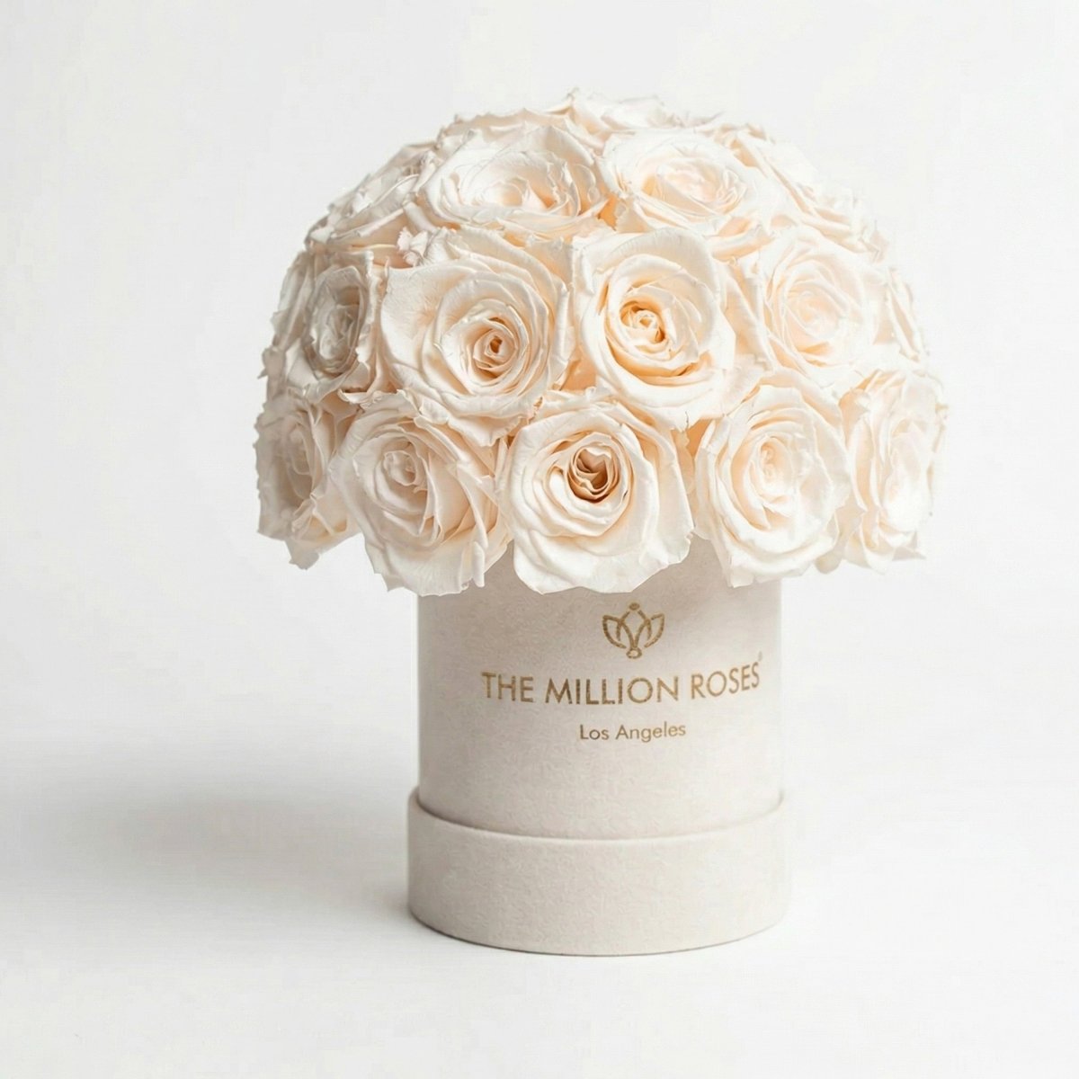Basic Beige Suede Superdome Box | White Roses - HOUSE OF SHE
