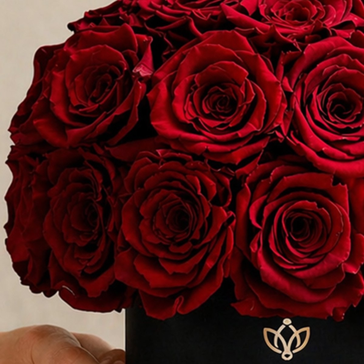 Basic Black Superdome Box | Red Roses - HOUSE OF SHE