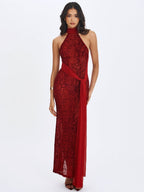 Cerise Scarlet Burnout Velvet Mesh Maxi Dress - HOUSE OF SHE