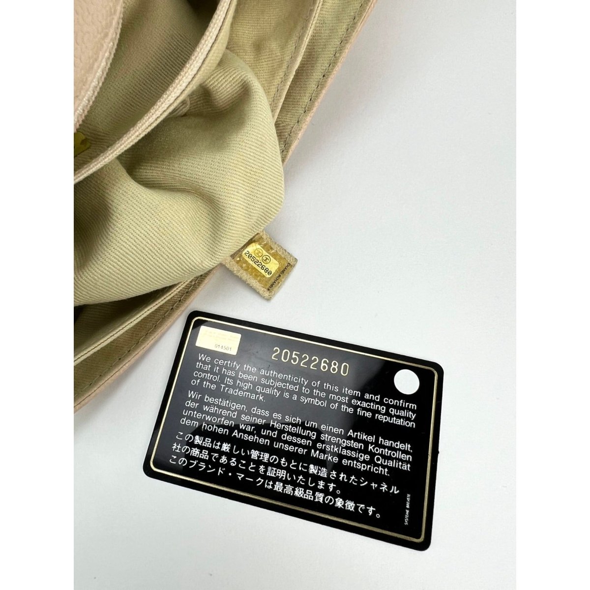 Chanel Grained leather Medium Natural Beauty Beige Flap Bag - HOUSE OF SHE