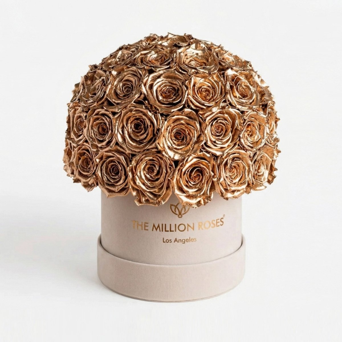 Classic Beige Suede Superdome Box | Gold Roses - HOUSE OF SHE