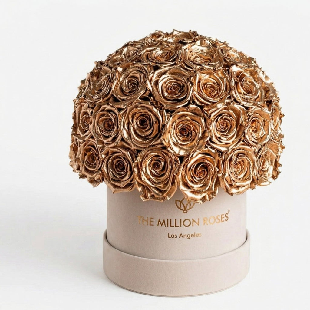 Classic Beige Suede Superdome Box | Gold Roses - HOUSE OF SHE