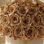 Classic Beige Suede Superdome Box | Gold Roses - HOUSE OF SHE