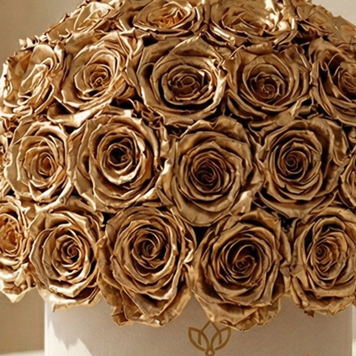 Classic Beige Suede Superdome Box | Gold Roses - HOUSE OF SHE