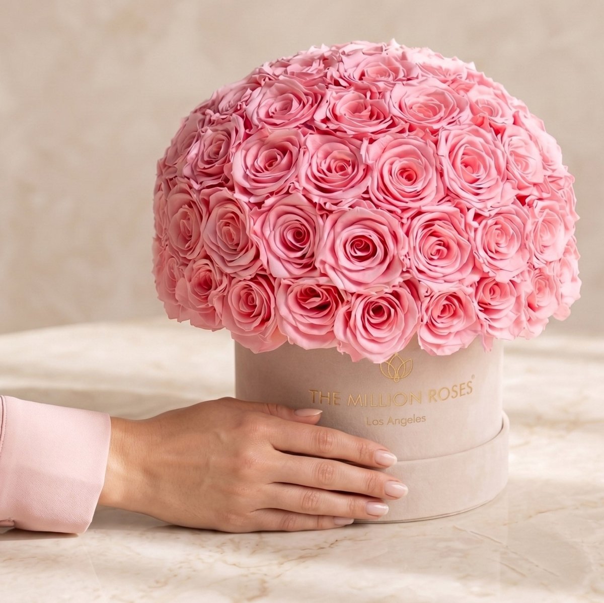 Classic Beige Suede Superdome Box | Light Pink Roses - HOUSE OF SHE