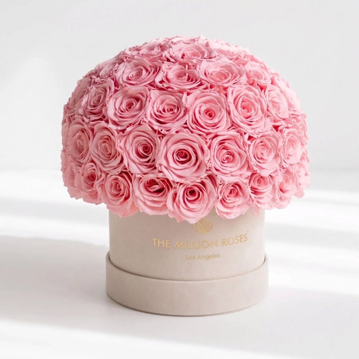 Classic Beige Suede Superdome Box | Light Pink Roses - HOUSE OF SHE