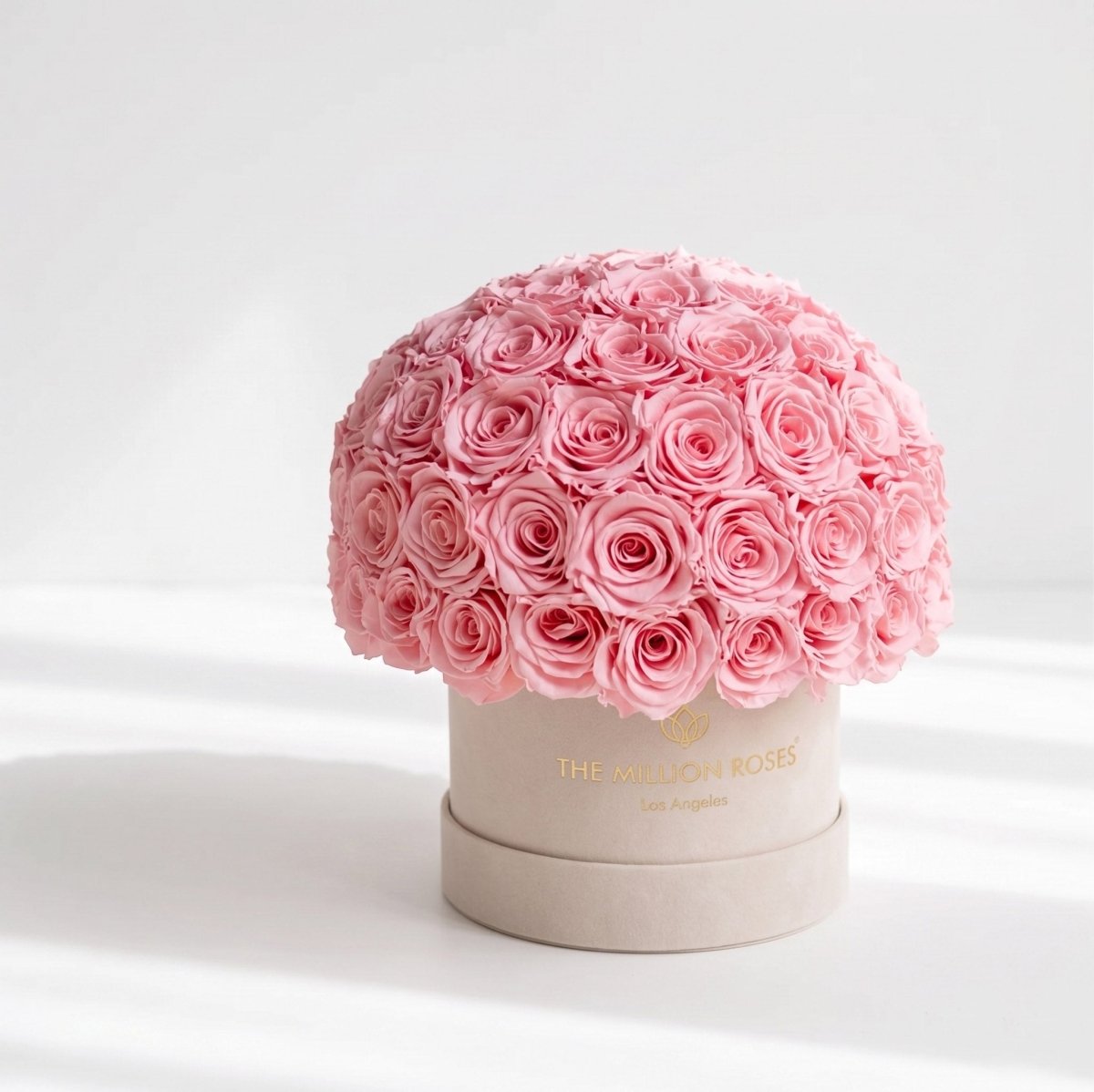 Classic Beige Suede Superdome Box | Light Pink Roses - HOUSE OF SHE